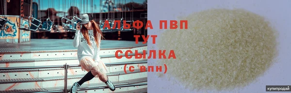 стаф Арсеньев