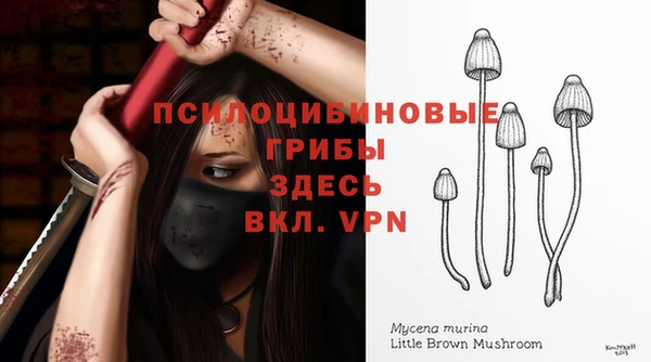 бошки Аркадак