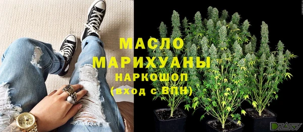 стаф Арсеньев