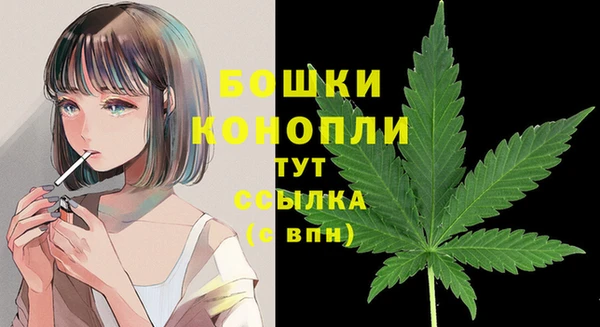 бошки Аркадак