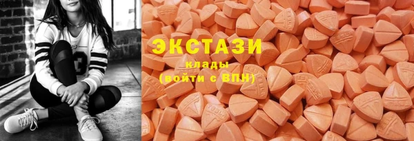 стаф Арсеньев