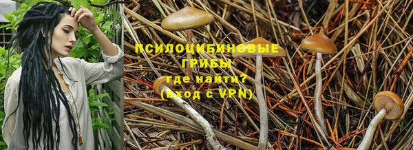 mdpv Армянск