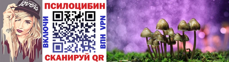 Псилоцибиновые грибы Cubensis  kraken зеркало  Инсар 
